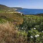 بيت للعطل Residenza Solemar بوسا مارينا